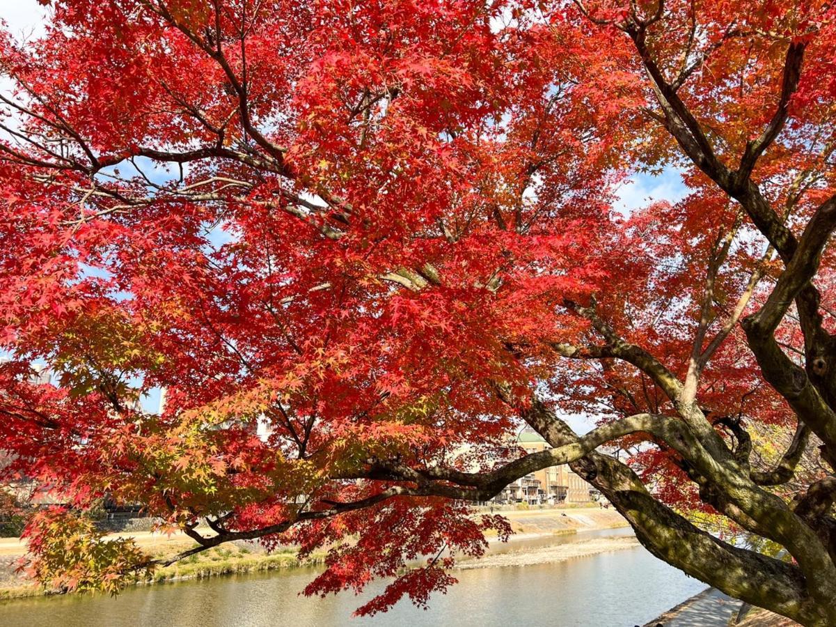 Rinn Gion Shirakawa Kyōto Esterno foto